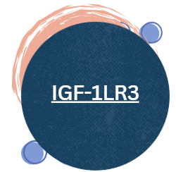 IGF-1LR3