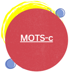 MOTS-c