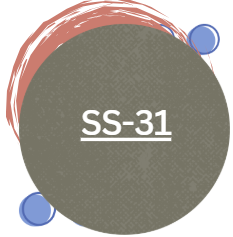 SS-31