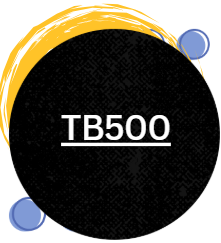 TB500