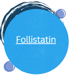 Follistatin